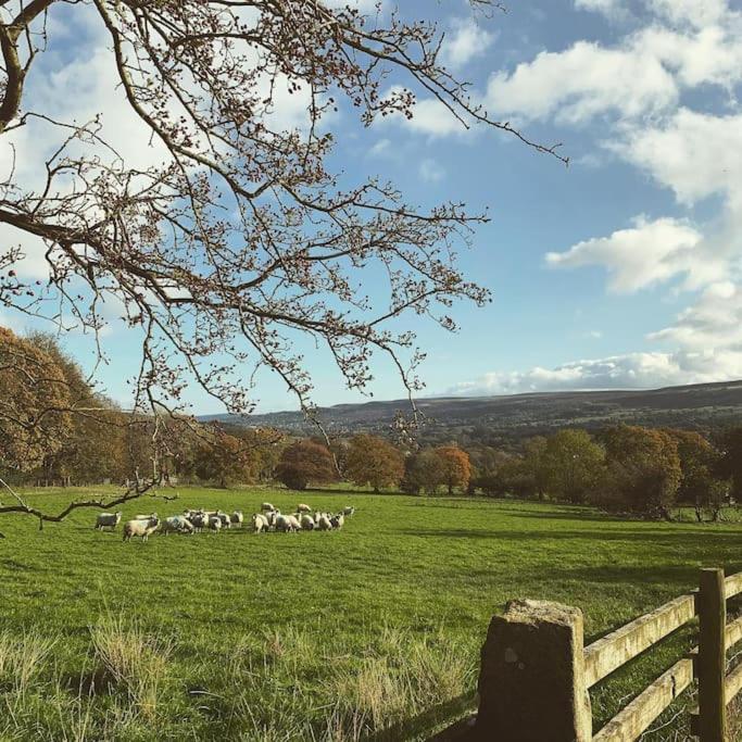 1800 Period Grade 2 Listed Cottage Addingham Екстериор снимка